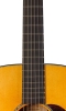 Neck